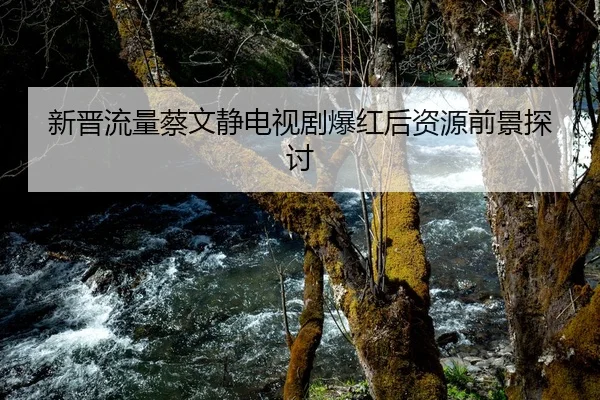 xin-jin-liu-liang-cai-wen-jing-dian-shi-ju-bao-hong-hou-zi-yuan-qian-jing-tan-tao-1-631.jpg